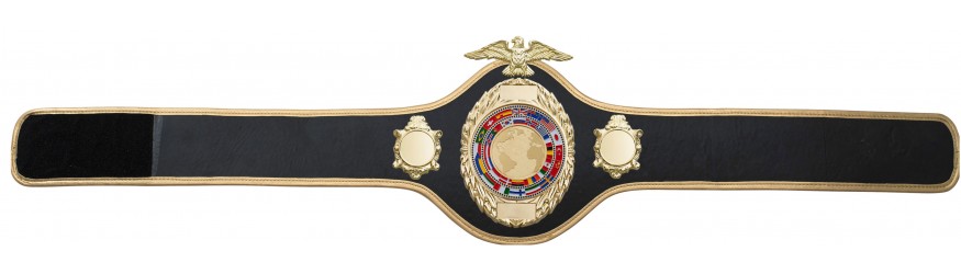 CHAMPIONSHIP BELT PRO288/G/FLAGG - AVAILABLE IN 10 COLOURS